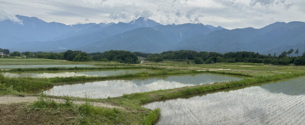 八ケ岳二十四節気の風景：　芒種
